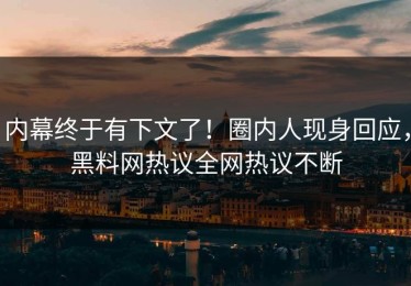 内幕终于有下文了！圈内人现身回应，黑料网热议全网热议不断