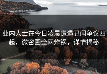 业内人士在今日凌晨遭遇丑闻争议四起，微密圈全网炸锅，详情揭秘
