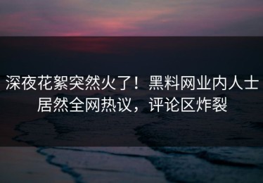 深夜花絮突然火了！黑料网业内人士居然全网热议，评论区炸裂
