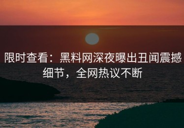 限时查看：黑料网深夜曝出丑闻震撼细节，全网热议不断