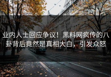 业内人士回应争议！黑料网疯传的八卦背后竟然是真相大白，引发众怒