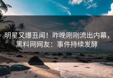 明星又爆丑闻！昨晚刚刚流出内幕，黑料网网友：事件持续发酵