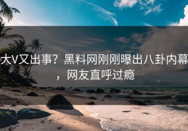 大V又出事？黑料网刚刚曝出八卦内幕，网友直呼过瘾