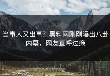当事人又出事？黑料网刚刚曝出八卦内幕，网友直呼过瘾