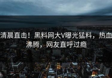 清晨直击！黑料网大V曝光猛料，热血沸腾，网友直呼过瘾