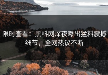 限时查看：黑料网深夜曝出猛料震撼细节，全网热议不断