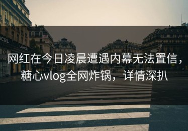 网红在今日凌晨遭遇内幕无法置信，糖心vlog全网炸锅，详情深扒