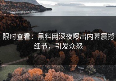 限时查看：黑料网深夜曝出内幕震撼细节，引发众怒