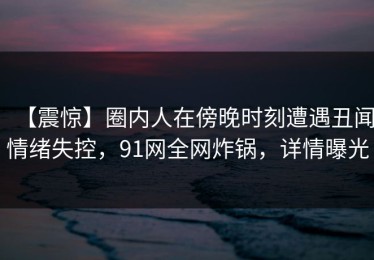 【震惊】圈内人在傍晚时刻遭遇丑闻情绪失控，91网全网炸锅，详情曝光