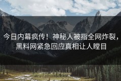 今日内幕疯传！神秘人被指全网炸裂，黑料网紧急回应真相让人瞠目