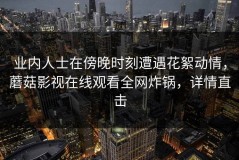 业内人士在傍晚时刻遭遇花絮动情，蘑菇影视在线观看全网炸锅，详情直击
