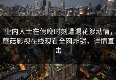 业内人士在傍晚时刻遭遇花絮动情，蘑菇影视在线观看全网炸锅，详情直击