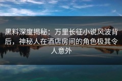 黑料深度揭秘：万里长征小说风波背后，神秘人在酒店房间的角色极其令人意外