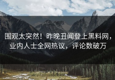 围观太突然！昨晚丑闻登上黑料网，业内人士全网热议，评论数破万