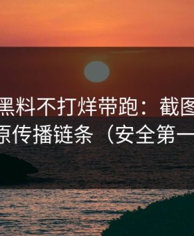 别再被黑料不打烊带跑：截图鉴别还原传播链条（安全第一）