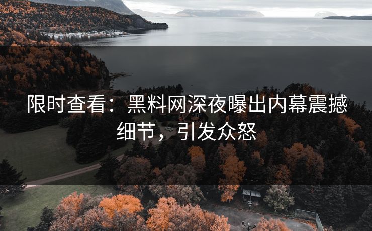 限时查看：黑料网深夜曝出内幕震撼细节，引发众怒