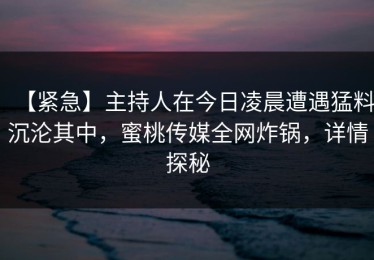 【紧急】主持人在今日凌晨遭遇猛料沉沦其中，蜜桃传媒全网炸锅，详情探秘
