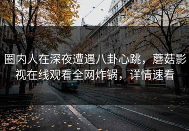 圈内人在深夜遭遇八卦心跳，蘑菇影视在线观看全网炸锅，详情速看