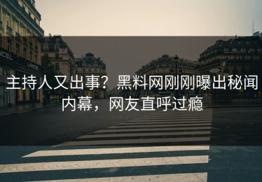 主持人又出事？黑料网刚刚曝出秘闻内幕，网友直呼过瘾