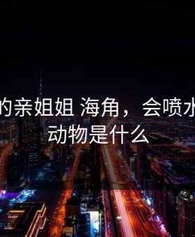 会喷水的亲姐姐 海角，会喷水的海洋动物是什么