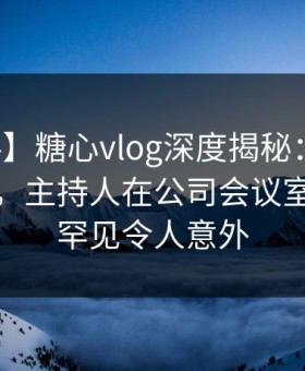 【爆料】糖心vlog深度揭秘：花絮风波背后，主持人在公司会议室的角色罕见令人意外