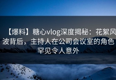【爆料】糖心vlog深度揭秘：花絮风波背后，主持人在公司会议室的角色罕见令人意外